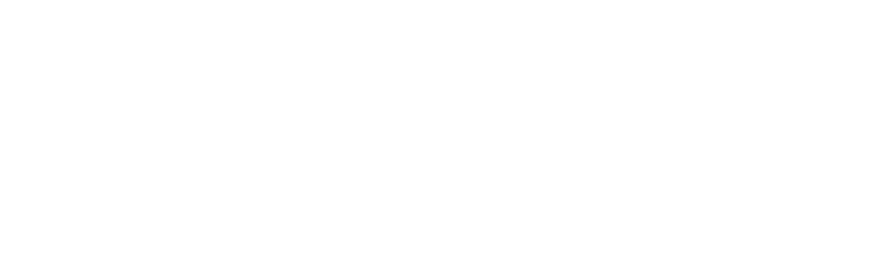 University of Bristol colour logo